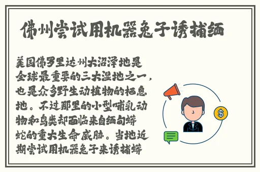 **刘亦菲txt
